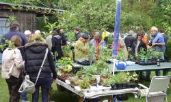 Featured image of post Flower Power