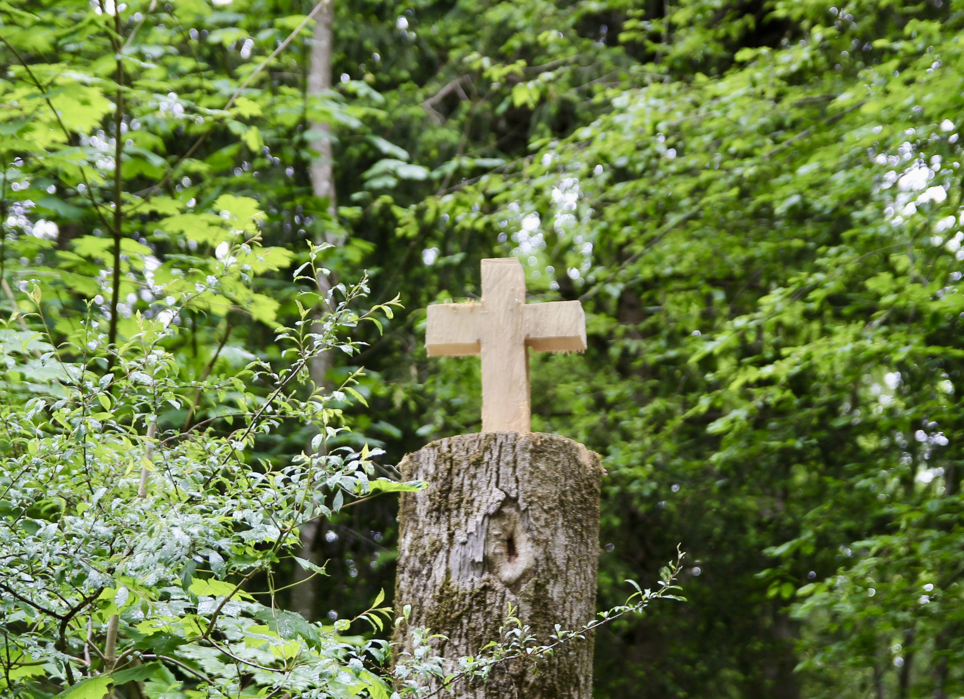 Neben dem Kloster fielen in jÃ¼ngster Zeit einige BÃ¤ume. FÃ¼r einen unbekannten Schnitzer war dies die Gelegenheit fÃ¼r ein Holzkreuz aus einem Baumstumpf heraus.