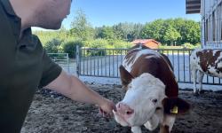 Featured image of post Aubinger Weidehimmel