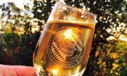 Featured image of post Wein, Kultur und Gaudi