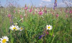 Featured image of post „Druck wächst“