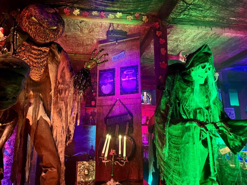 Featured image of post Trick or Treat in Aubing