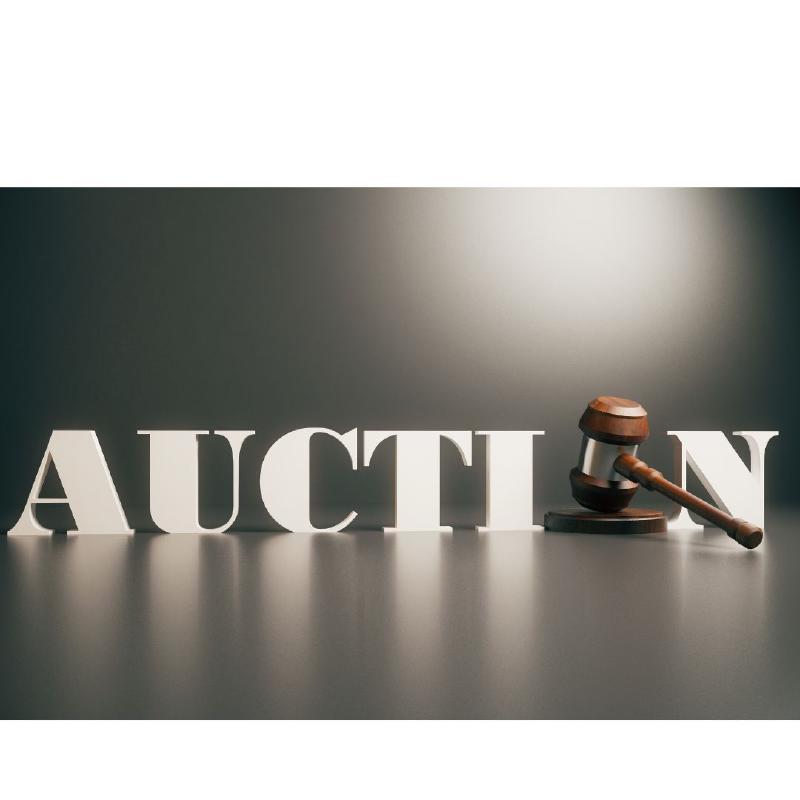 Featured image of post Pasinger Auktion