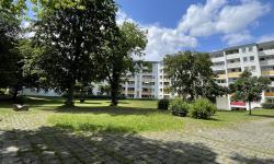 Featured image of post Krähenplage in Neuaubing