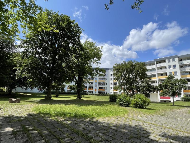 Featured image of post Krähenplage in Neuaubing