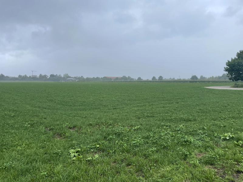 Featured image of post Plan abgelehnt