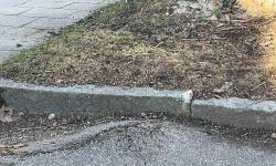 Featured image of post Bürgeranliegen im Januar