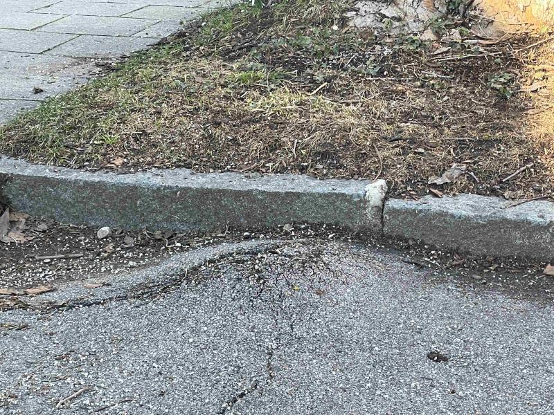 Featured image of post Bürgeranliegen im Januar