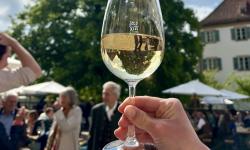 Featured image of post Pfälzer Wein und bayerische Gemütlichkeit