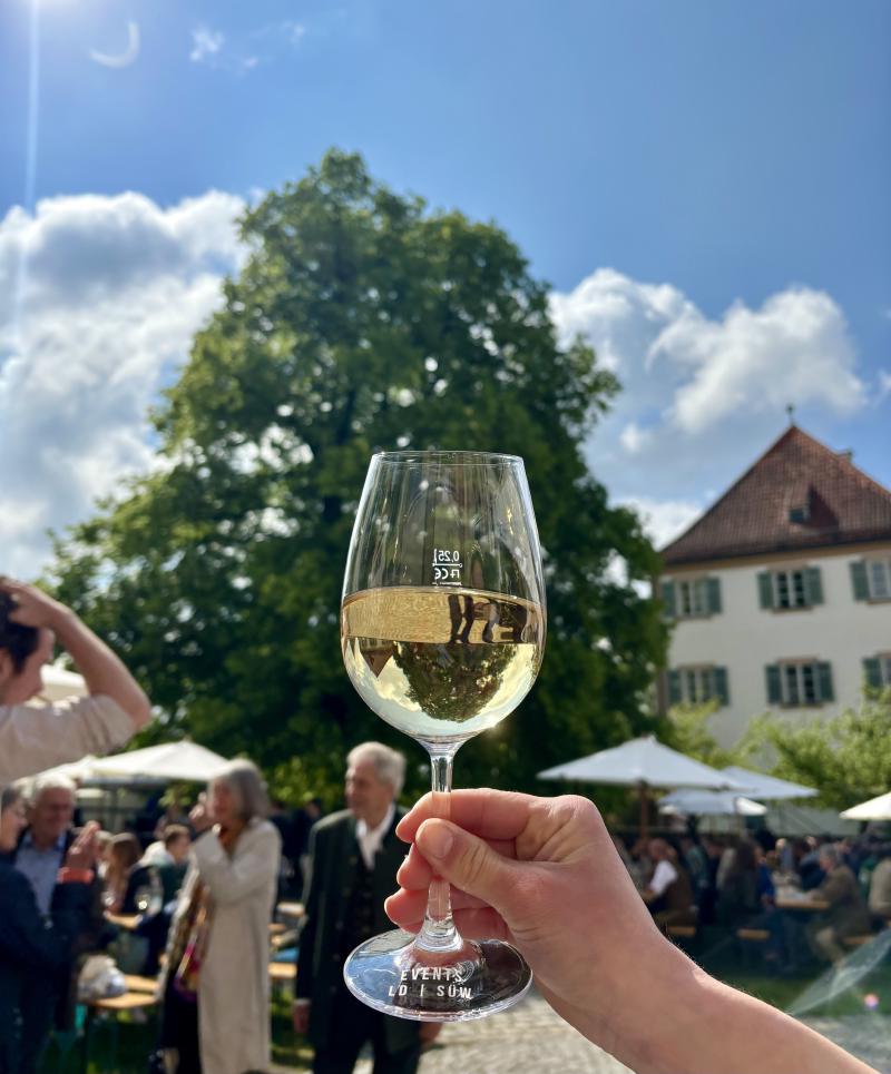 Featured image of post Pfälzer Wein und bayerische Gemütlichkeit