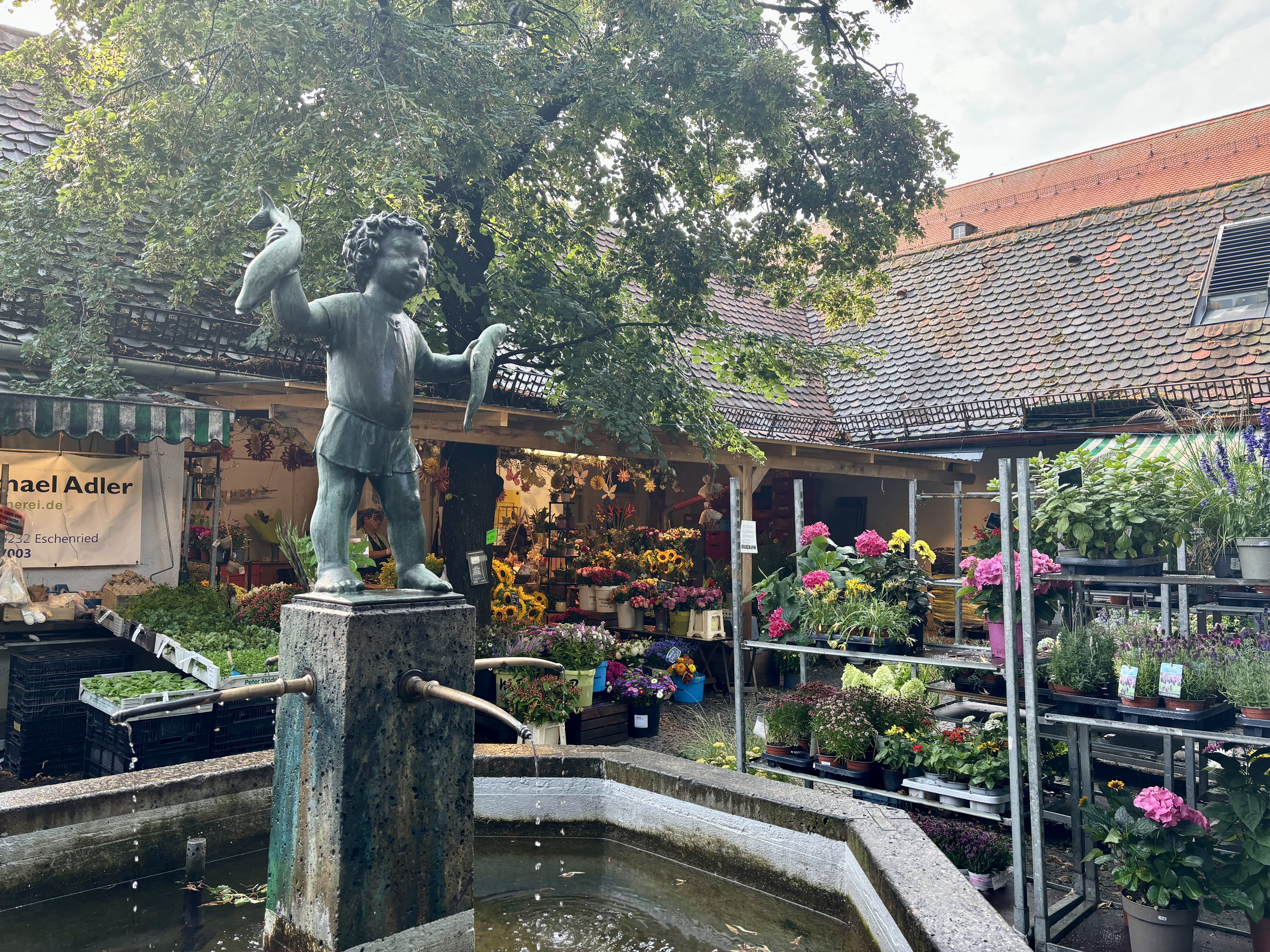 Der Denkmal geschützte Fischbrunnen von Hans Osel im Markt.