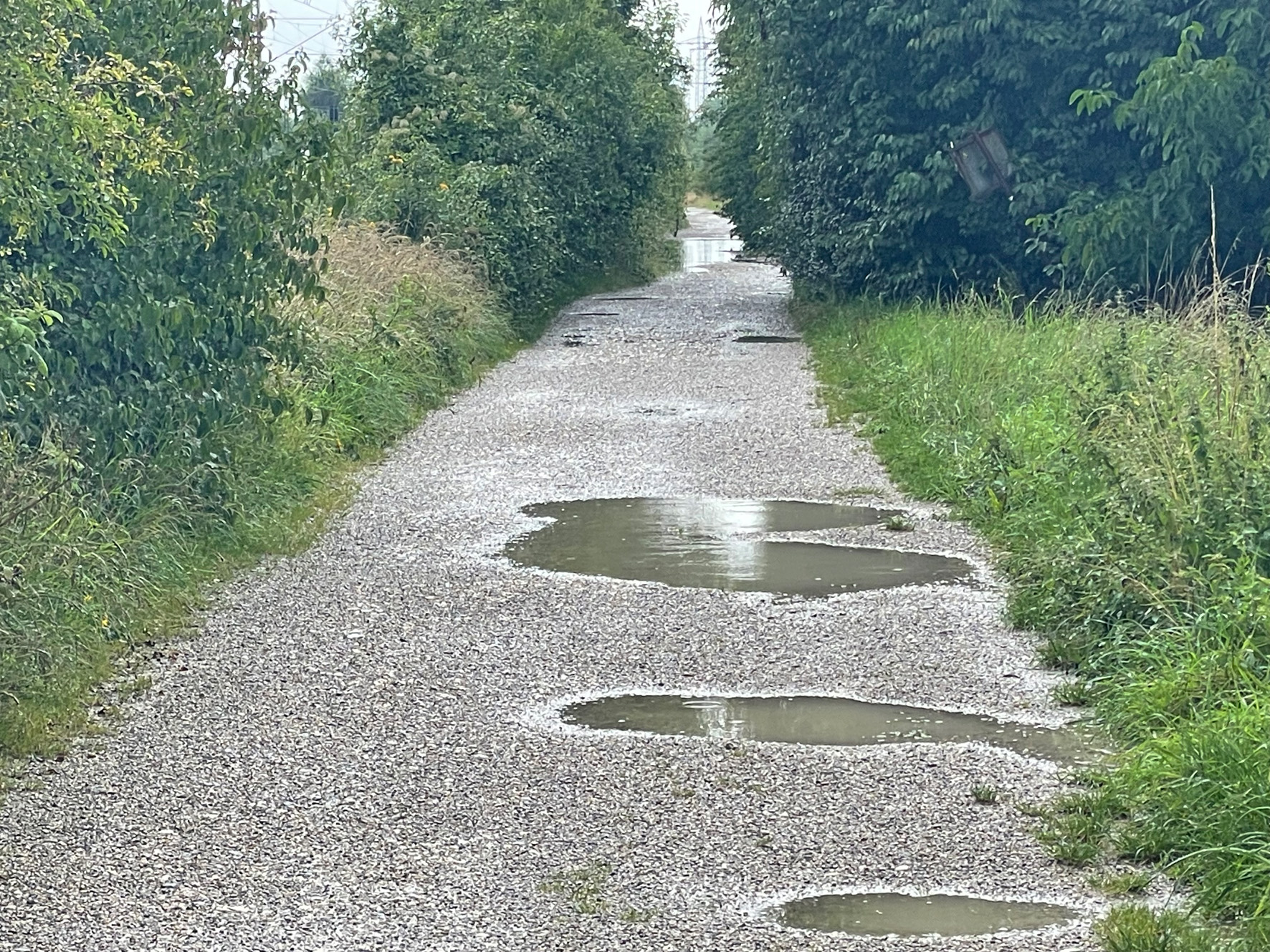 Bodenwellen und viele Schlaglöcher sind ein großes Problem auf dem Radlweg entlang der Negrellistraße. Für Radlreifen oft ein gefährliches Hindernis.