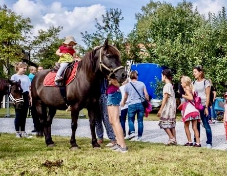 Ponyreiten beim letzten Höfefest.