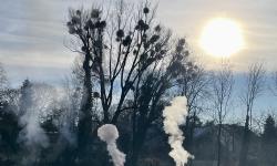 Featured image of post Prosit Neujahr!