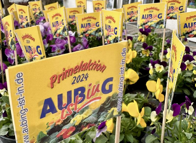 Featured image of post Dankeschön-Blumen