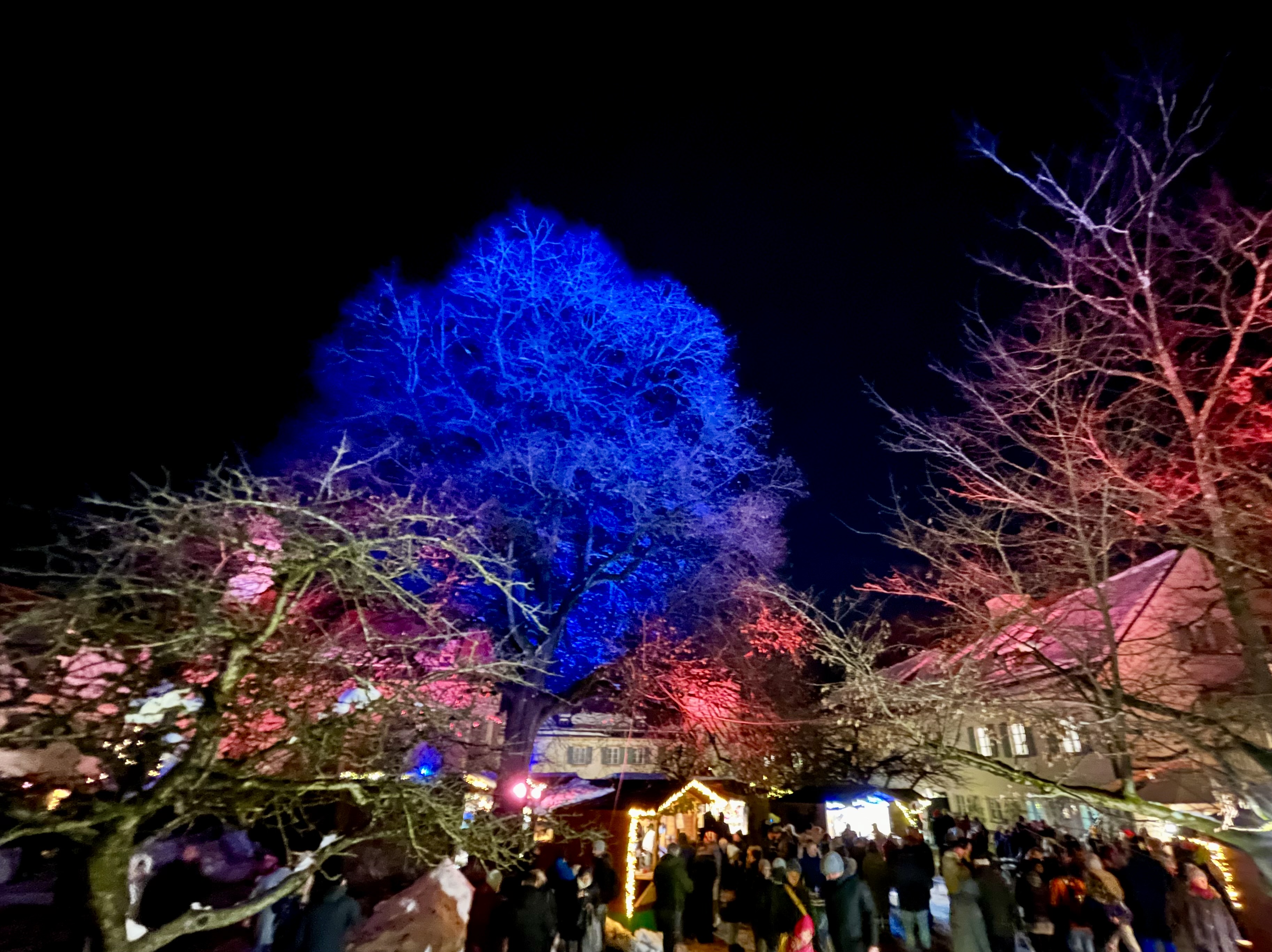 Blutenburger Weihnacht mit Lichtershow im vergangenen Jahr