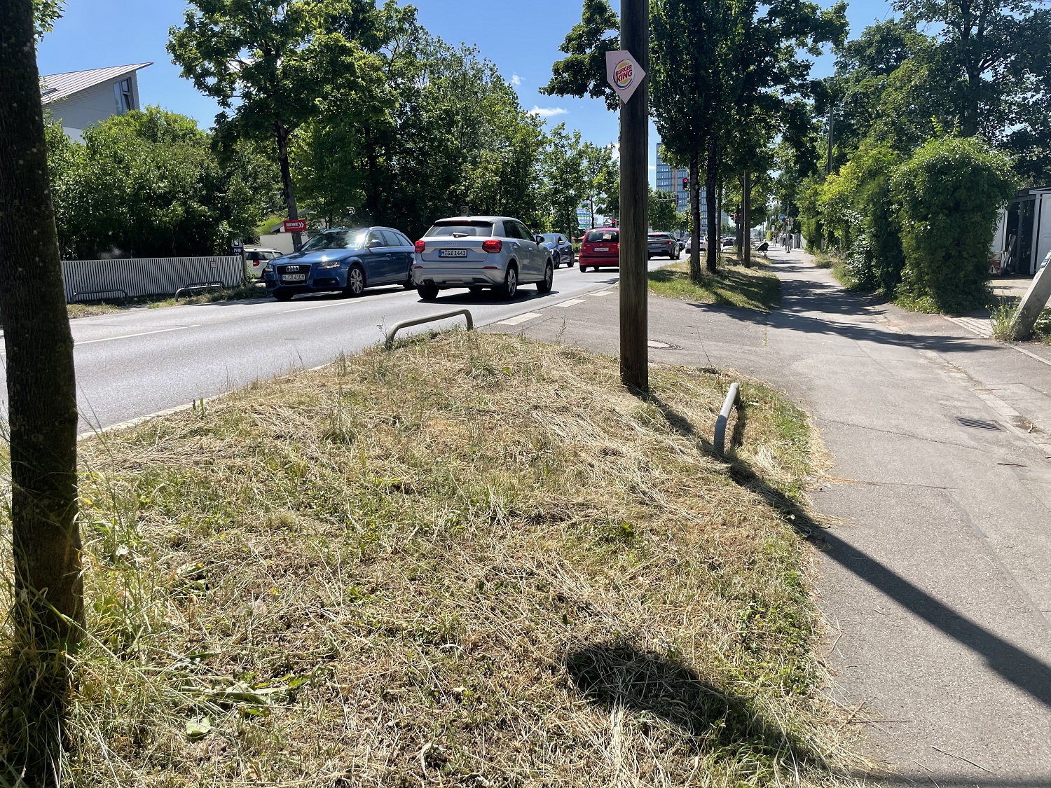 Auf Beschluss des Stadtrates werden die städtischen Grünstreifen nur noch zweimal im Jahr statt zwölf Mal gemäht. Für einen Anwohner aus der Bodenseestraße ist das jedoch nicht ausreichend.