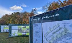 Featured image of post Naturnah – grüner - Freiham?