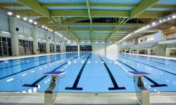 Featured image of post Traum vom Freihamer Schwimmbad
