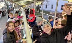 Featured image of post Aubinger Maibaumhilfe