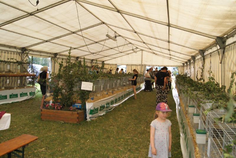 Featured image of post Schön war’s bei den Haserern!