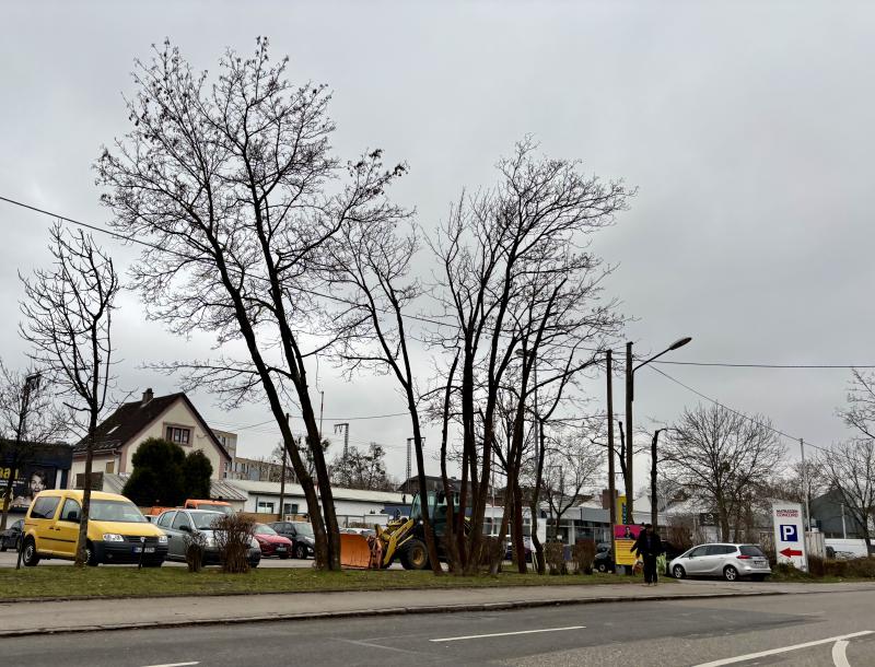 Featured image of post Fokus: Bodenseestraße