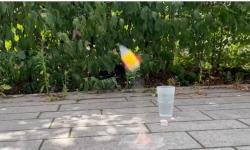 Featured image of post Raketenstart für die Schultüte