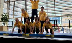 Featured image of post Freihamer Grundschule