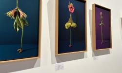 Featured image of post „Dichtung und Wahrheit“ im ubo9