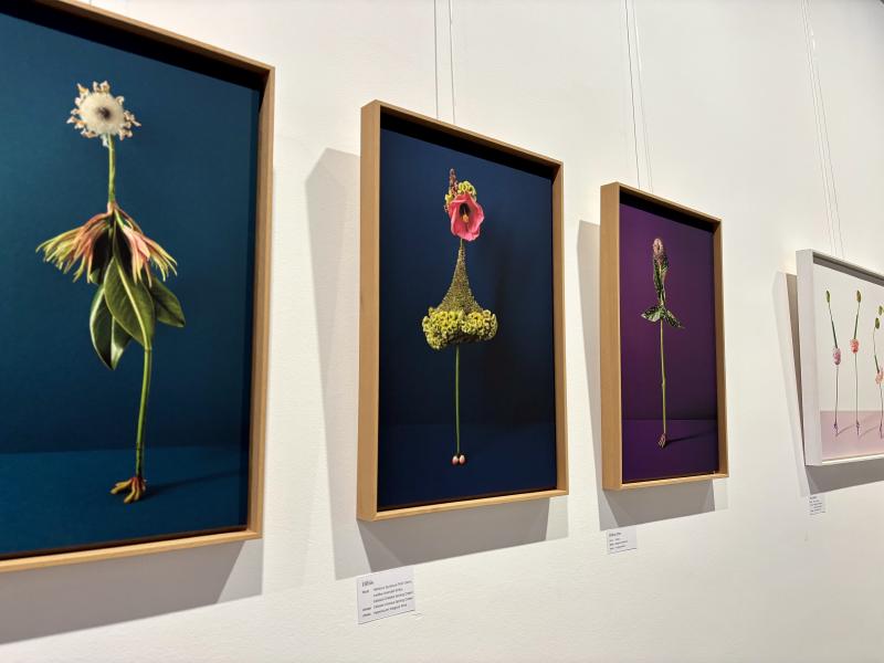 Featured image of post „Dichtung und Wahrheit“ im ubo9