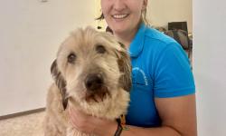 Featured image of post Tierphysio am Start