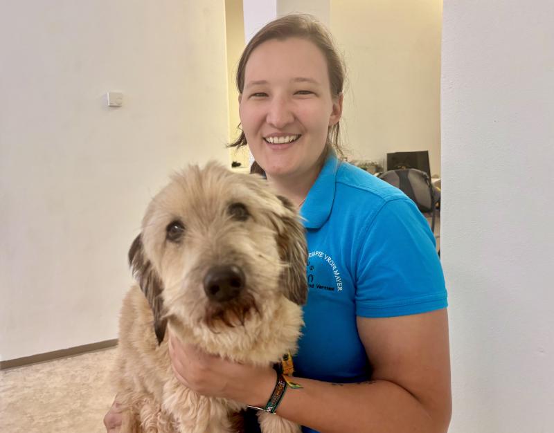 Featured image of post Tierphysio am Start