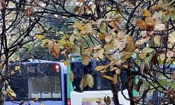 Featured image of post Probleme beim Bus 267 – wer ist zuständig?