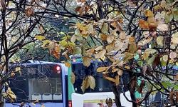 Featured image of post Probleme beim Bus 267 – wer ist zuständig?