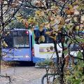 Probleme beim Bus 267 – wer ist zuständig?