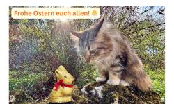 Featured image of post Frohe Ostern