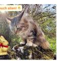 Frohe Ostern