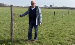 Featured image of post Zwischen Zaun und Wiese: Streit um Ausgleichsflächen am Harthauser Weg