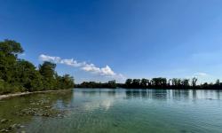 Featured image of post Vorsicht am Langwieder See: Der Eichenprozessionsspinner ist da