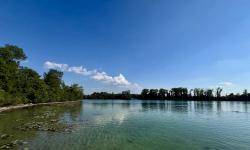 Featured image of post Vorsicht am Langwieder See: Der Eichenprozessionsspinner ist da