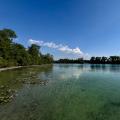 Vorsicht am Langwieder See: Der Eichenprozessionsspinner ist da