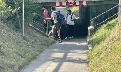 Featured image of post Raser, Bus 267 und E-Scooter: Diese Bürgeranliegen beschäftigen den BA 22