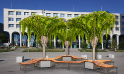 Featured image of post Bäume ohne Wurzeln für Münchens heißen Sommer