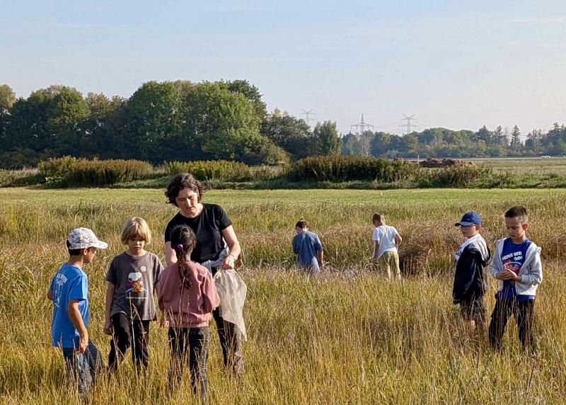 Featured image of post Auf Heuschrecken-Suche im Aubinger Moos: Grundschüler entdecken die Schwertschrecke